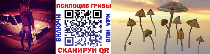 Купить закладки  Дно  Галлюциногенные грибы GOLDEN TEACHER 